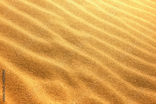 Fotografie, Obraz 砂紋　砂模様ゴールド金色テクスチャ背景素材　光で輝く美しい砂漠砂丘イメージ写真素材
