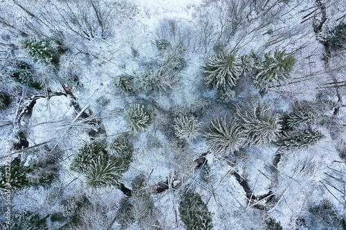 river in winter view from drone, outdoor frost forest landscape © kichigin19