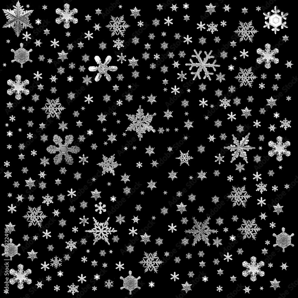 snowflakes isolate black background, abstract ornament winter wallpaper design snowflake natural photo
