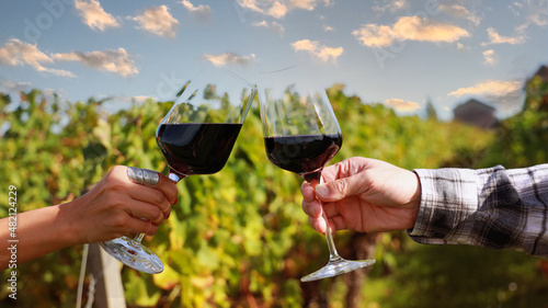 Photos Close up of couple  drinking wine as having fun in the wineyards with evening sk