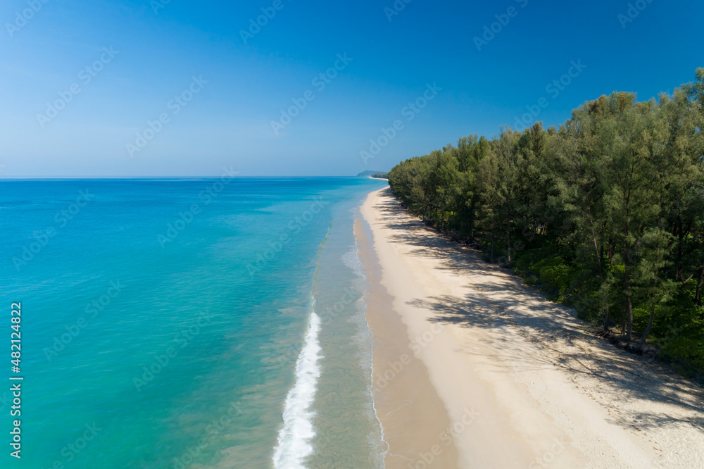 Aerial view Drone camera of Tropical sea with Row of pine trees near the beach in Thailand Beautiful sea and sky Travel and tour concept