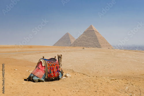 Camel and Giza Pyramids - Cairo  Egypt