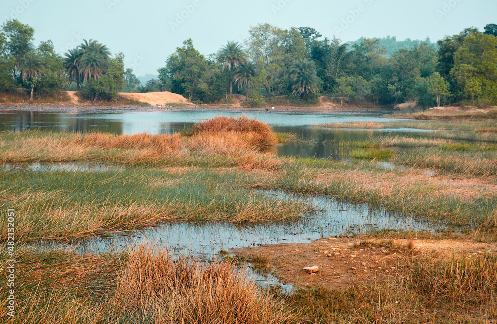 Beautiful natural view of rustic nature around a small waterbody, with dried up grassland in winter. Taken at Simultala (or Shimultala) in Bihar, where the landscape is mostly dry.