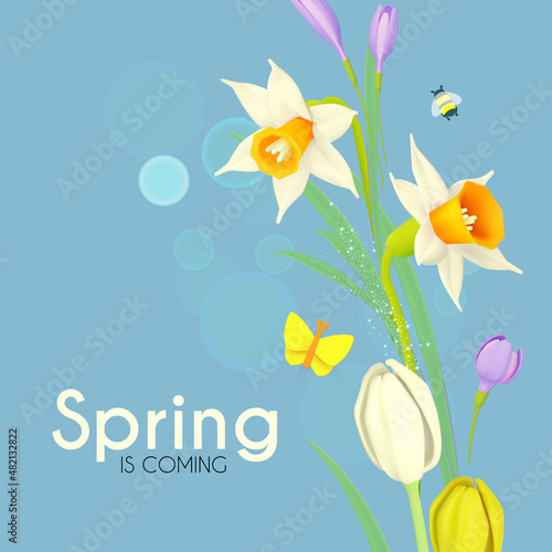 Spring is comming. Narcissus, crocus and tulip flowers with butterflies on a blue sky. Fresh Season background.