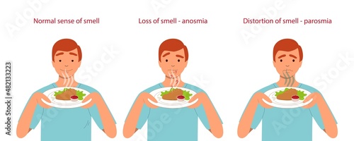 Normal sense of smell, anosmia and parosmia are the consequences of a coronavirus infection. A man sniffs a plate of food. Vector flat illustration isolated on white background