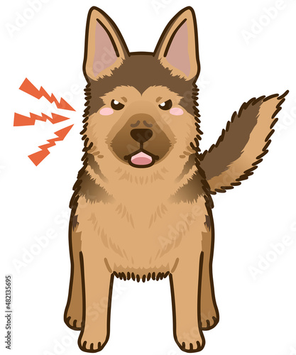 威嚇するジャーマンシェパード