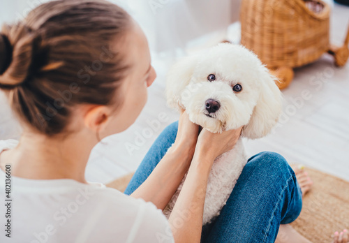  Love of mistress and poodle. The girl sits sideways to the camera, the dog is on her lap and looks into her face. The concept of love for pets. 