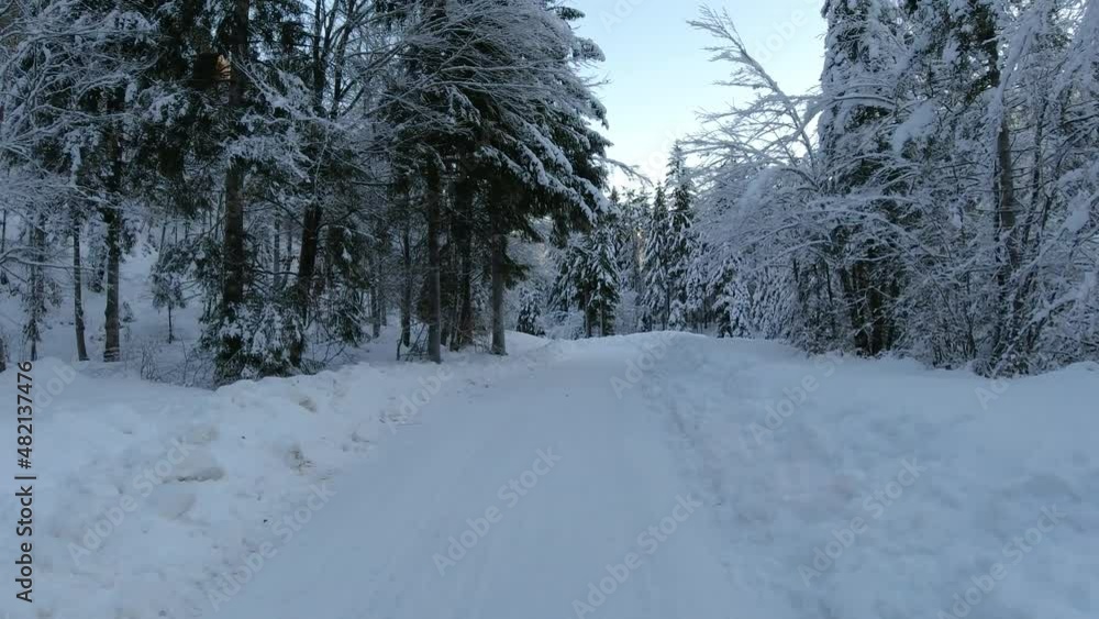 POV driving on snowy forest road in winter. Alpine valley in Slovenia in wintertime. Moving on narrow mountain route surrounded with forest. Dash camera point of view. Dascham POV perspective POV driving on snowy forest road in winter. Alpine valley in Slovenia in wintertime. Moving on narrow mountain route surrounded with forest. Dash camera point of view. Dascham POV perspective