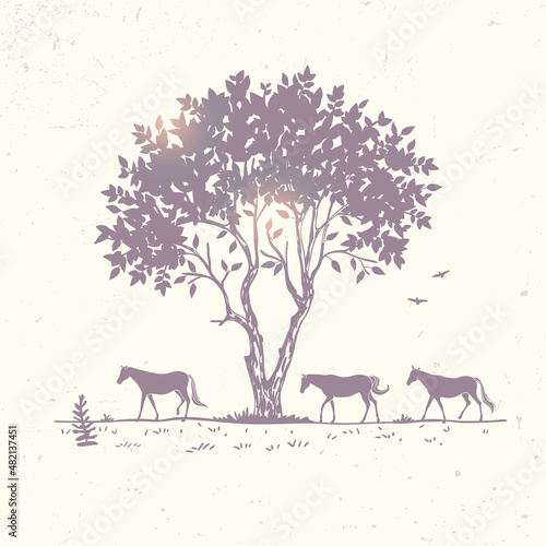horse silhouette and tree