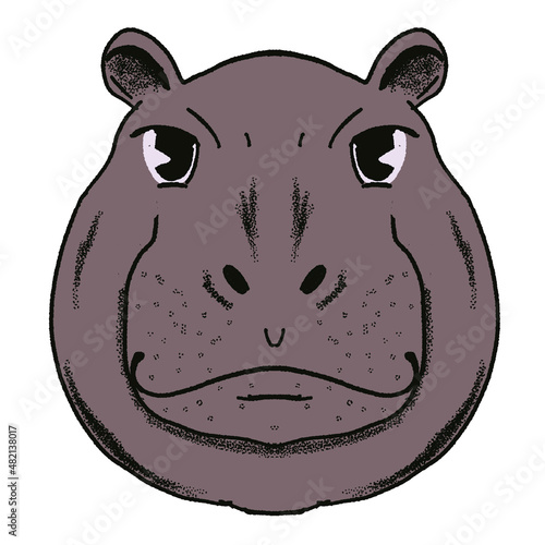 vintages cartoon  style hippopotamus face