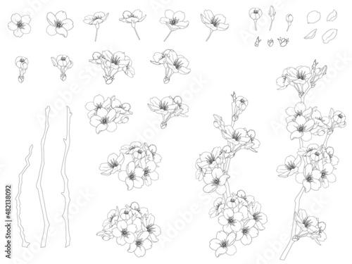 さくらのイラストセット_黒線画