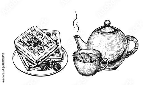 Belgian waffles with raspberries vector sketch. Belgian waffles on plate hand drawn. tea mug vector sketch. cup of hot tea with lemon hand drawn vector. teapot with mug of tea and waffles sketch. 