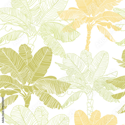 seamless banana palm tree