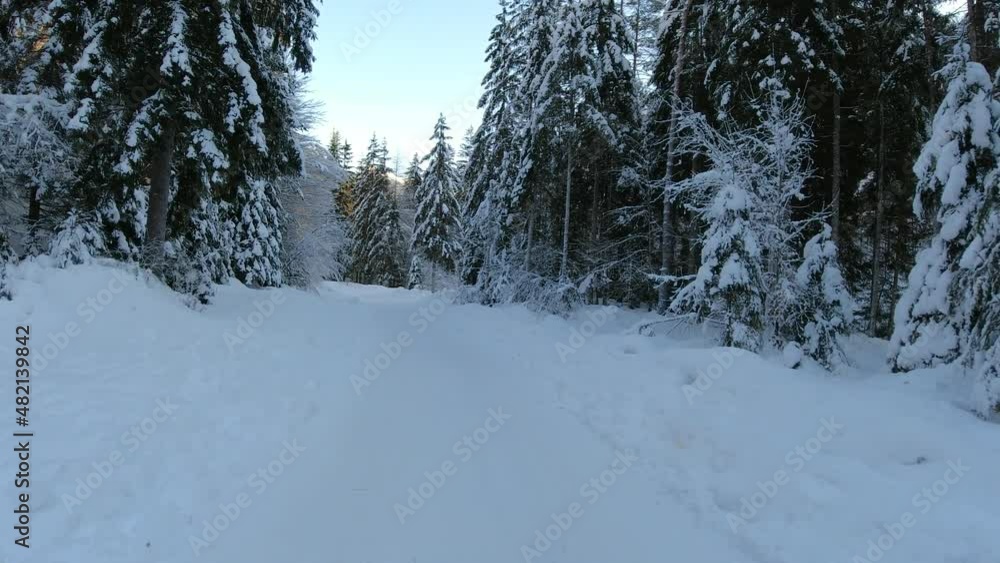 Driving on snowy forest road in winter. Alpine Vrata valley in Slovenia in wintertime. Forward moving on narrow mountain route surrounded with forest. Dash camera point of view. Dascham POV perspectiv Driving on snowy forest road in winter. Alpine Vrata valley in Slovenia in wintertime. Forward moving on narrow mountain route surrounded with forest. Dash camera point of view. Dascham POV perspectiv