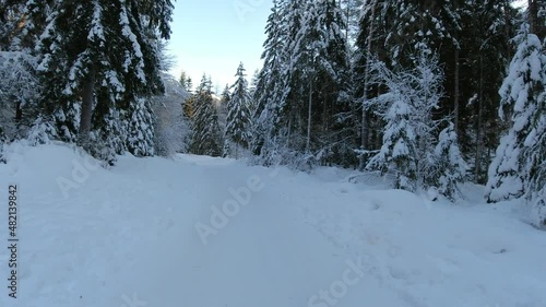 Wallpaper Mural Driving on snowy forest road in winter. Alpine Vrata valley in Slovenia in wintertime. Forward moving on narrow mountain route surrounded with forest. Dash camera point of view. Dascham POV perspectiv Torontodigital.ca