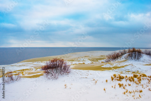 Fototapeta Naklejka Na Ścianę i Meble -  snow-covered sand dune seashore with yellow dry grass