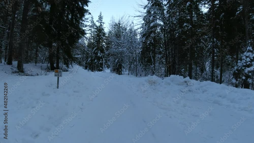 Driving on snowy forest road in winter. Alpine Vrata valley in Slovenia in wintertime. Forward moving on narrow mountain route surrounded with forest. Dash camera point of view. Dascham POV perspectiv Driving on snowy forest road in winter. Alpine Vrata valley in Slovenia in wintertime. Forward moving on narrow mountain route surrounded with forest. Dash camera point of view. Dascham POV perspectiv