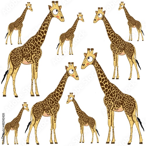 Funny giraffe print on white background. Cute African animals illustration for kids fabric  wallpapers  interior design  nursing. Isolated.