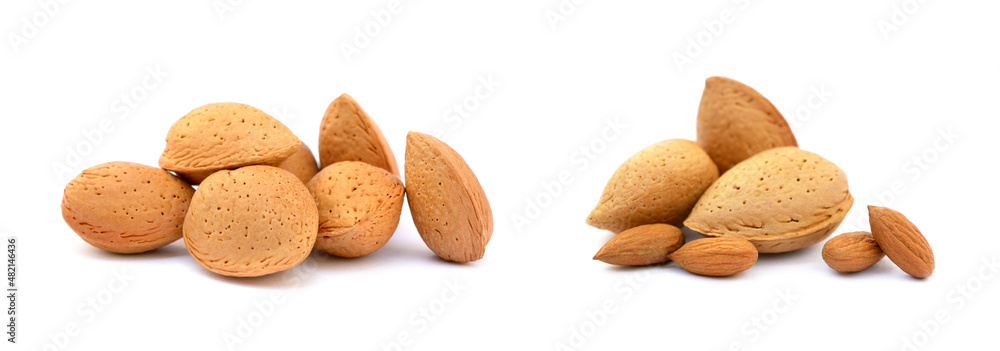 Heap of fresh almonds in shells isolated on white background
