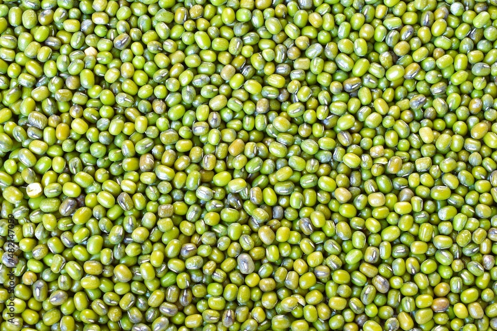 mung beans close up very soft abstract texture background mung beans close up very soft abstract texture background