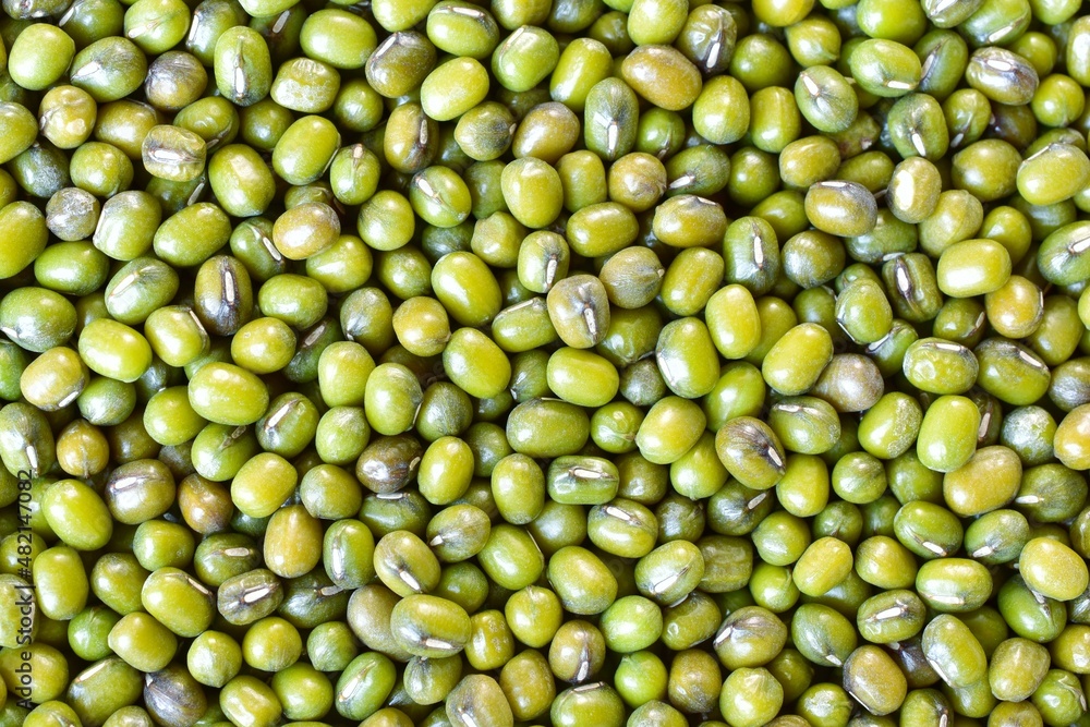 mung bean seed texture close-up abstract background mung bean seed texture close-up abstract background