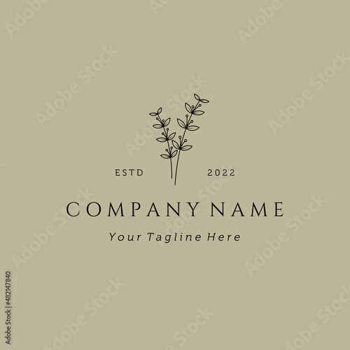 Hand drawn floral vector logo in minimal and feminine style. Creative line art floral logo template for design studio, spa, wedding, florist, beauty and fashion. Hand and leaves logo concept