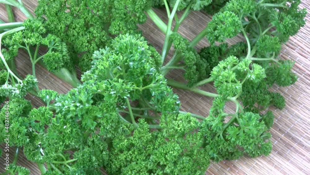 Fresh green healthy vegetable parsley rotating, food background Fresh green healthy vegetable parsley rotating, food background