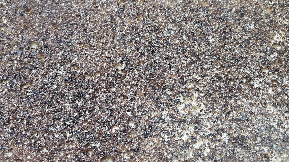 Fine-grained mottled surface. Abstract spotted background Fine-grained mottled surface. Abstract spotted background