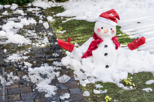 Unhappy snowman in mittens, red scarf and cap is melting  outdoors in sunlight on snowy green grass with small yellow flowers near wet pavement. Approaching spring, warm winter, climate change concept photo