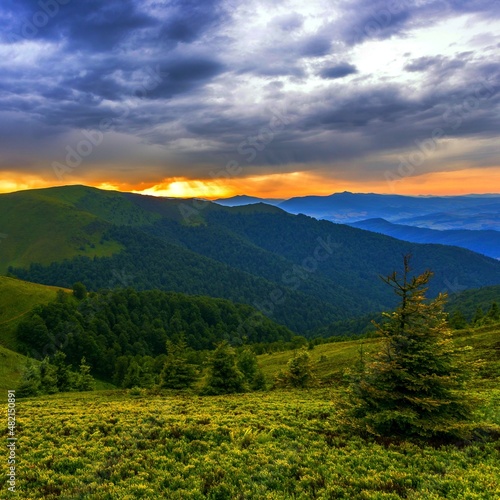stunning summer scenery, awesome evening landscape, beautiful nature background in the mountains, Carpathians, Ukraine, Europe  © Rushvol