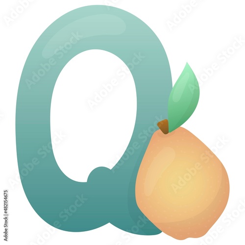 Letter Q and quince on a white background, educational card. English vocabulary and alphabet, vector for children, learning aid in kindergarten and school
