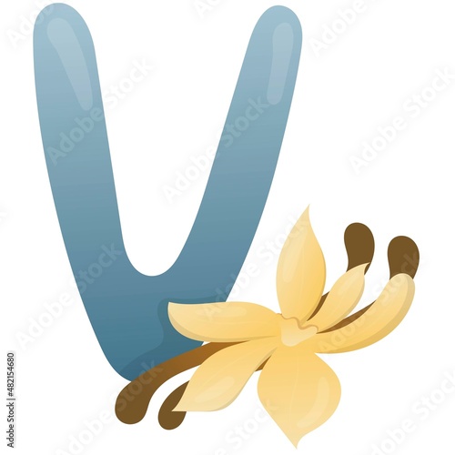 Letter V and stick and vanilla flower on a white background, training card. English vocabulary and alphabet, vector for children, learning aid in kindergarten and school