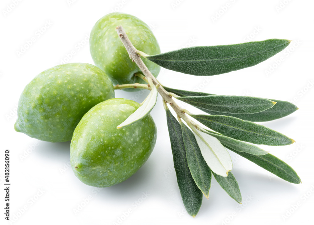 custom made wallpaper toronto digitalGreen natural olives with leaves isolated on a white background.