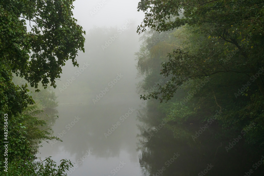 The tree branches hang over this pond in the Westerpark in Zoetermeer during a very foggy morning