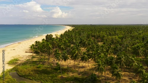 Wide sandy beach with palm trees. Ocean surf and waves. Beach scenery. Kalkudah Beach, Sri Lanka. photo