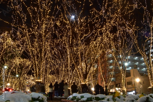 The winter illumination in Sendai
