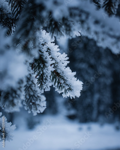 Winter wonderland in the Bucegi Mountains, Southern Carpathians, Romania