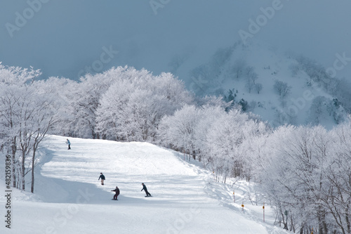 美しい冬山の風景