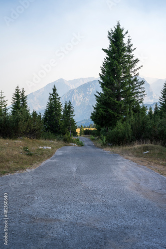  Mountain road through the forest
