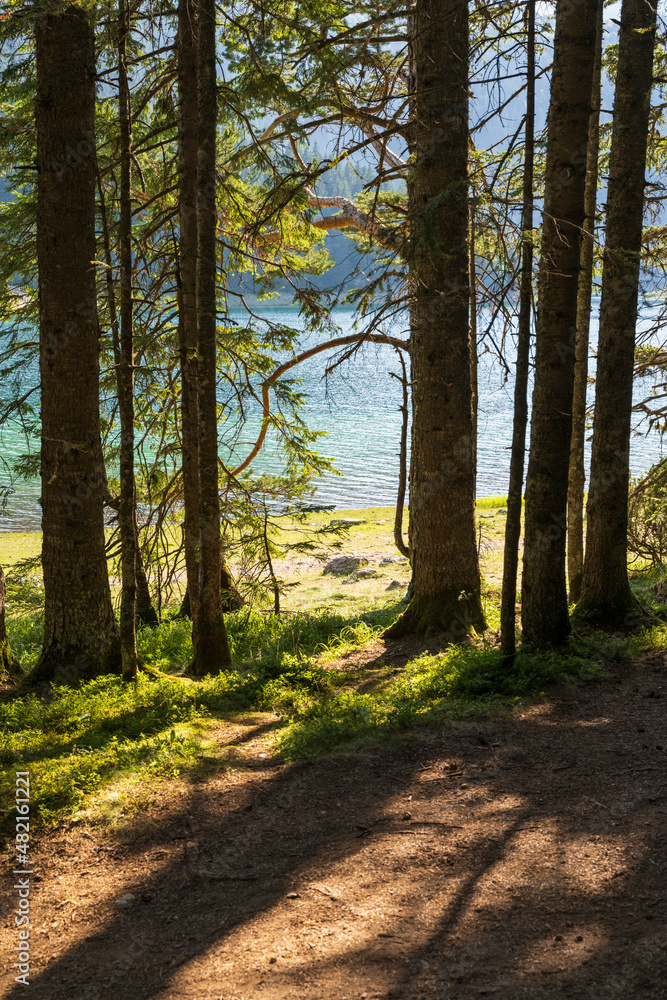 Obraz premium Mountain road through the forest