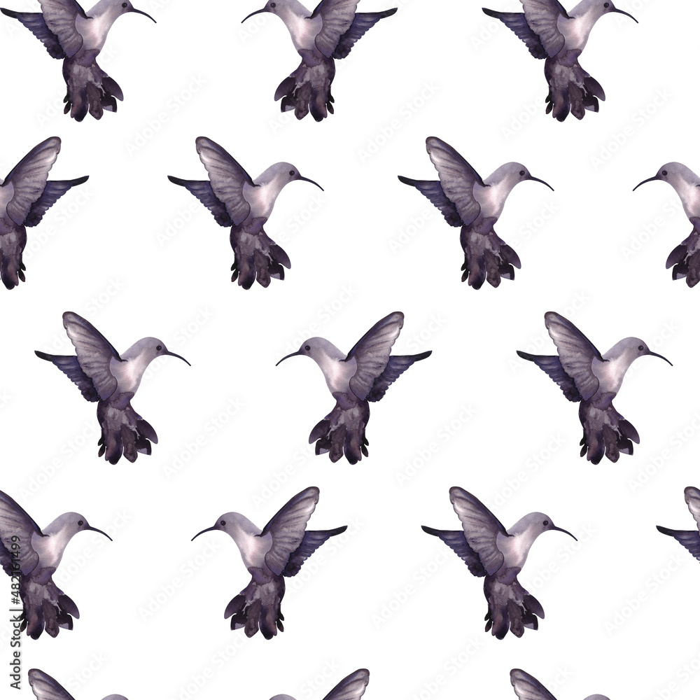 Obraz premium Watercolor pattern with realistic birds hummingbirds, birds of paradise. Romantic Illustration for design, print, fashion, fabric, wallpaper, web or background.