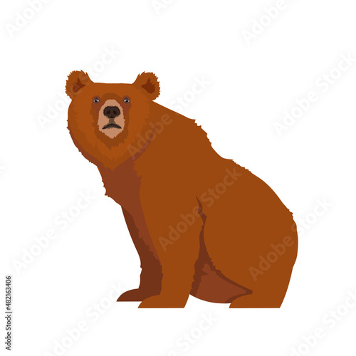 Brown or grizzly bear sitting. Vector illustration