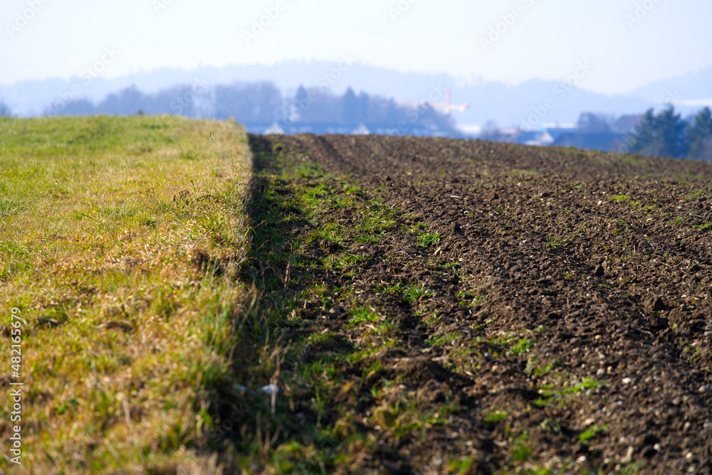 Close-up of agricultural field on a sunny winter day. Photo taken January 13th, 2022, Zurich, Switzerland.