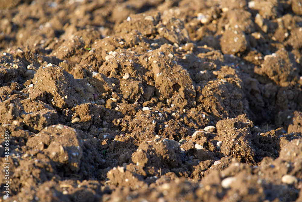 Close-up of agricultural field on a sunny winter day. Photo taken January 13th, 2022, Zurich, Switzerland. Close-up of agricultural field on a sunny winter day. Photo taken January 13th, 2022, Zurich, Switzerland.