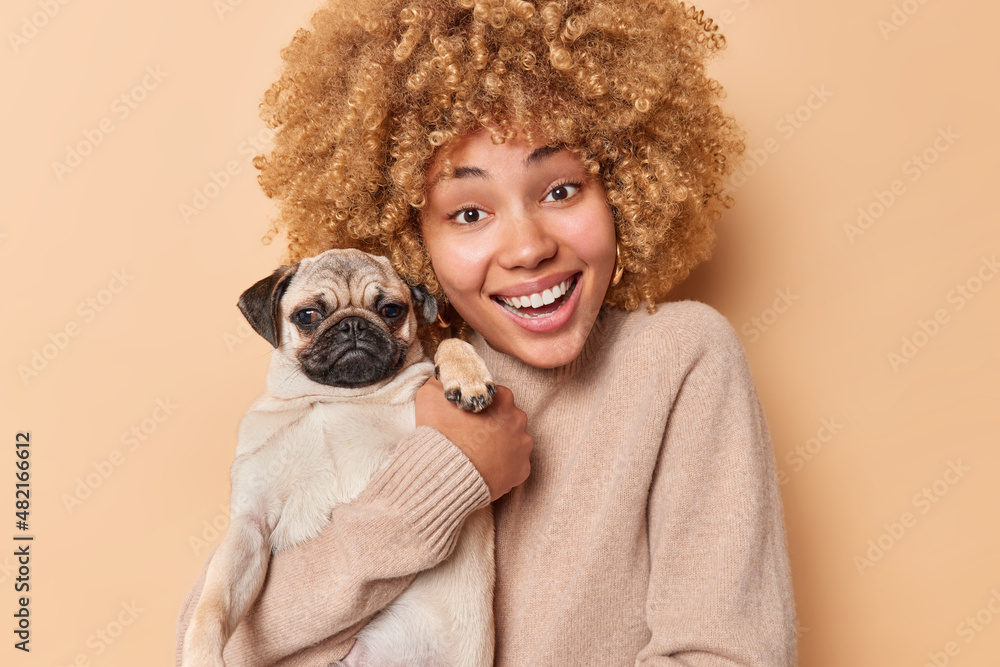 Pets and people concept. Joyful woman with cury hair poses with cute dog embraces domestic animal smiles gladfully dressed casually isolated over beige background hugs lovely new member of family Pets and people concept. Joyful woman with cury hair poses with cute dog embraces domestic animal smiles gladfully dressed casually isolated over beige background hugs lovely new member of family
