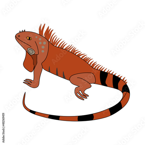 an iguana. a big brown lizard. isolated drawing by hand. children's poster. print, sticker.