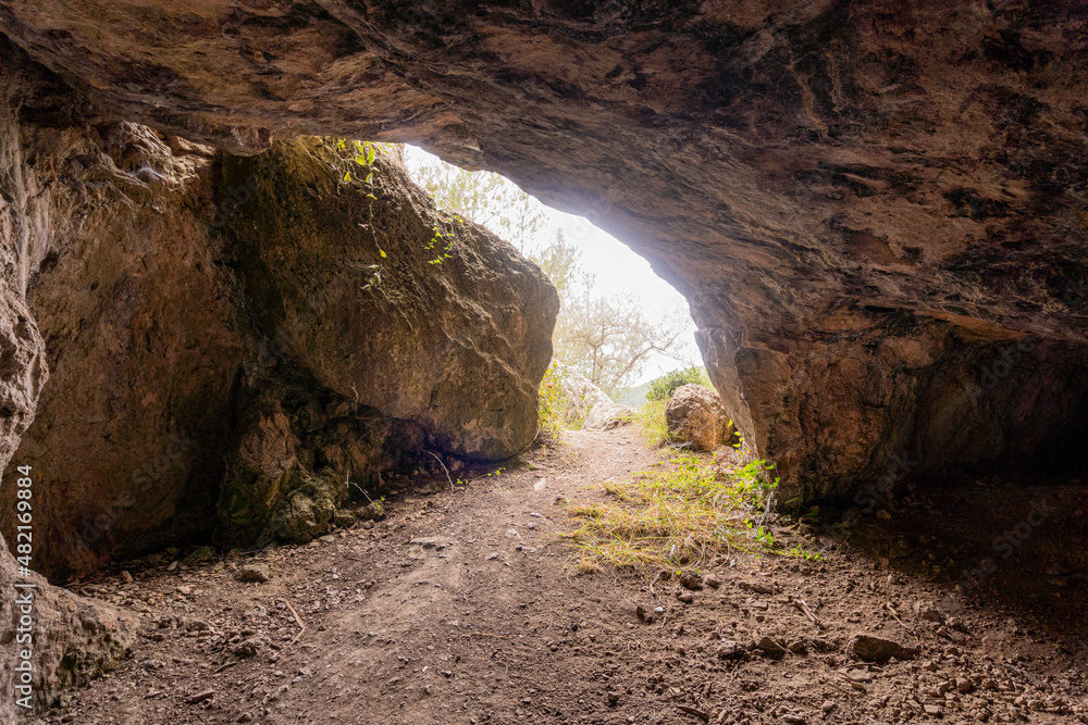 Interior of a wild cave with a view of the exit. Interior of a wild cave with a view of the exit.