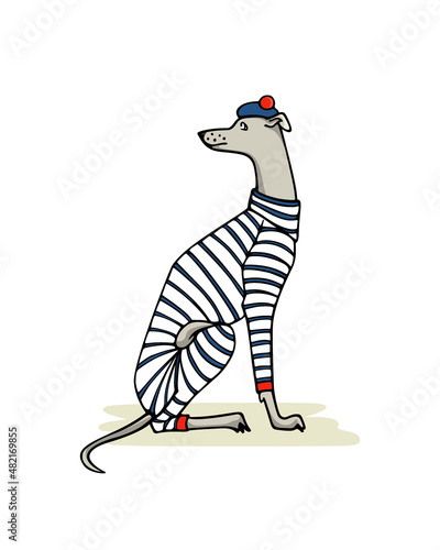 Vector card with hand drawn cute whippet in stripe sailor outfit and pom pom beret. Beautiful design elements, ink drawing, funny illustration.