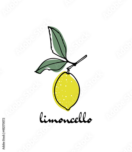 Vector card with hand drawn graceful lemon branch with fruit. Beautiful ink drawing, graphic style. Advertising and packaging design elements