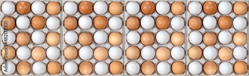 Eggs in Carton. Eggs in Box. Healthy Farm Food in Eco Packaging. White Eggs among the dark ones in Checkerboard pattern, concept. Panoramic Banner.